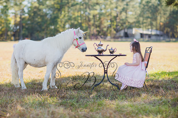 Jennifer B. Photography-Unicorn 1-19