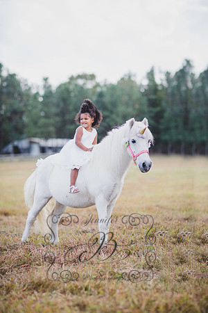 Jennifer B. Photography-Unicorn session 6
