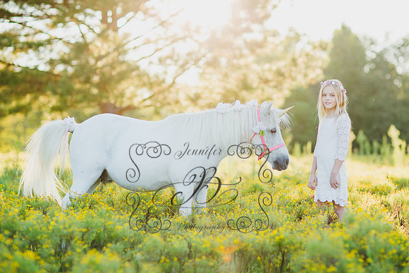 Jennifer B Photography-Unicorn Session 2016-3