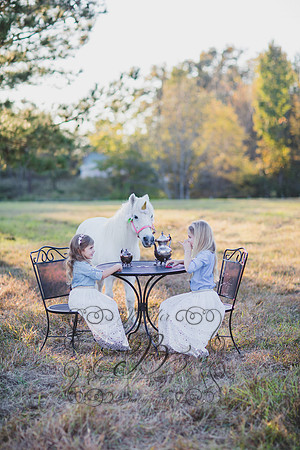 Jennifer B. Photography-Unicorn session 8-33
