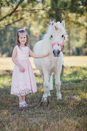 Jennifer B. Photography-Unicorn 1-7