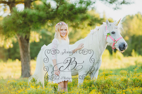 Jennifer B Photography-Unicorn Session 2016-7