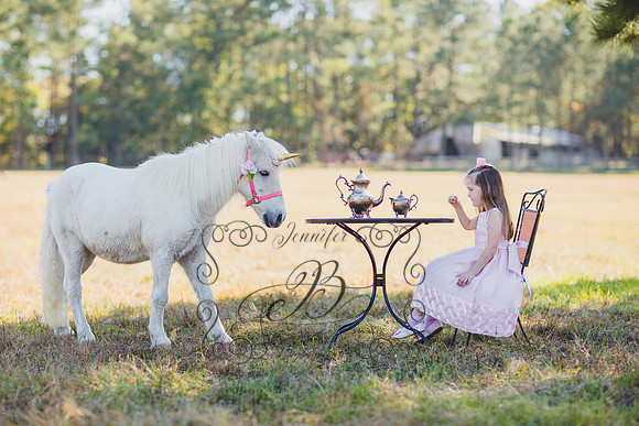 Jennifer B. Photography-Unicorn 1-17