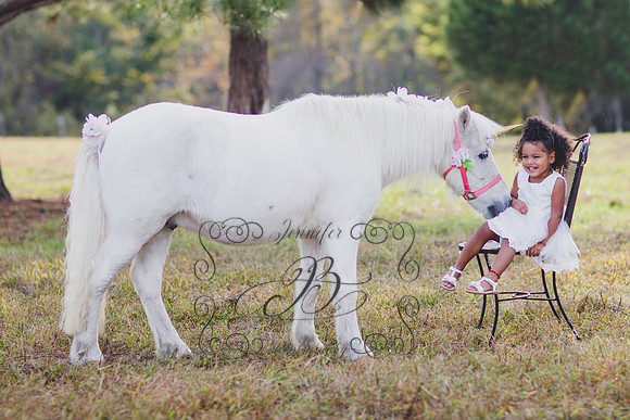 Jennifer B. Photography-Unicorn session 6-1