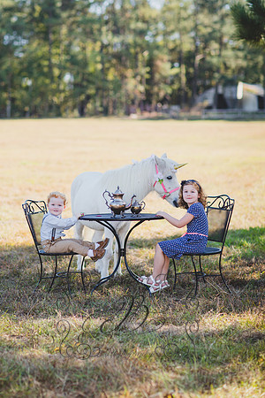 Jennifer B. Photography-Unicorn 3-23