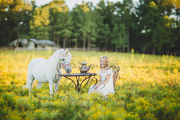 Jennifer B Photography-Unicorn Session 2016-37