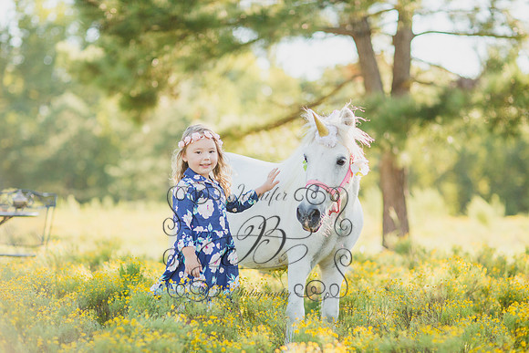 Jennifer B Photography-Unicorn Session 2016-26