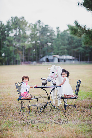 Jennifer B. Photography-Unicorn session 6-24