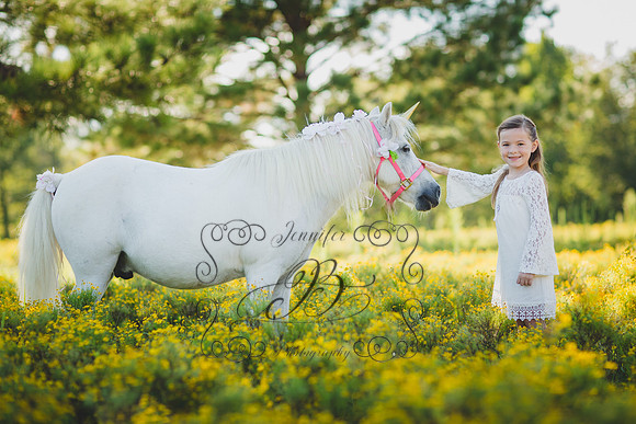 Jennifer B Photography-Unicorn Session 2016-4