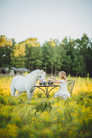 Jennifer B Photography-Unicorn Session 2016-43