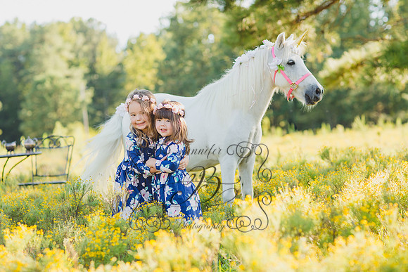 Jennifer B Photography-Unicorn Session 2016-10
