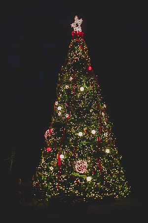 Jennifer B Photography-christmas-pinehurst 2016-8