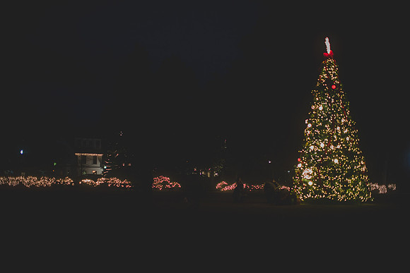 Jennifer B Photography-christmas-pinehurst 2016-9