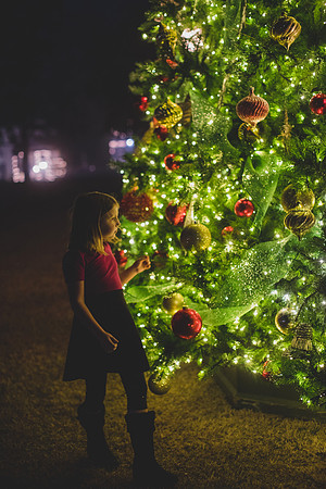 Jennifer B Photography-christmas-pinehurst 2016-12