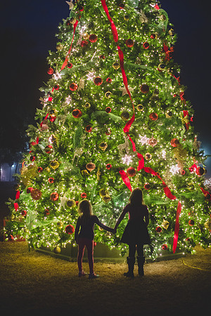 Jennifer B Photography-christmas-pinehurst 2016-14