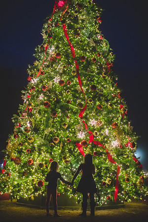 Jennifer B Photography-christmas-pinehurst 2016-15