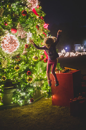 Jennifer B Photography-christmas-pinehurst 2016-20