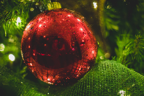 Jennifer B Photography-christmas-pinehurst 2016-21