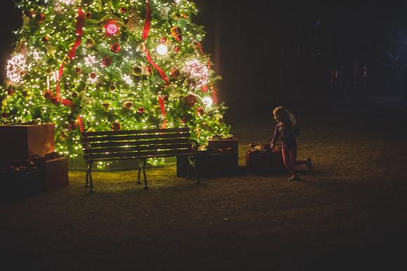 Jennifer B Photography-christmas-pinehurst 2016-25