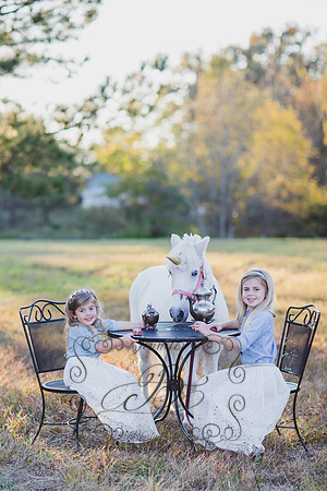 Jennifer B. Photography-Unicorn session 8-34