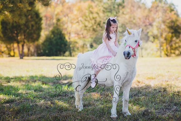 Jennifer B. Photography-Unicorn 1-1