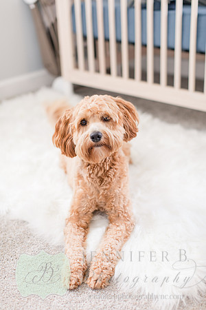 Jennifer B Photography-Baby Remington-2020-0070