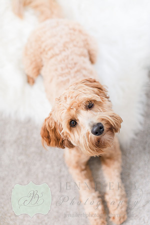 Jennifer B Photography-Baby Remington-2020-0071