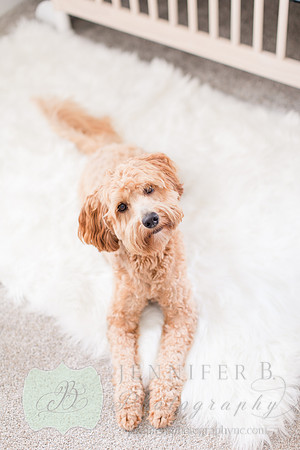 Jennifer B Photography-Baby Remington-2020-0069