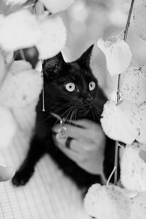 Jennifer B. Photography-Teala's Family2024-0120
