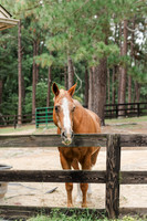 Jennifer B. Photography-Charlotte's Senior2026-0003