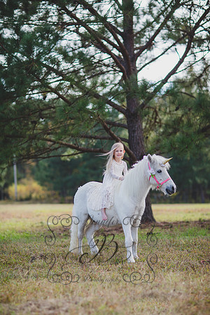 Jennifer B. Photography-Unicorn 5-10