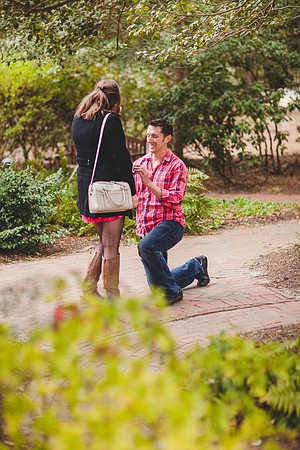 Jennifer B Photography-The Proposal pictures 2016-4