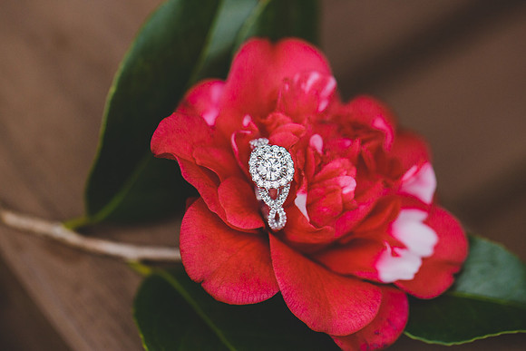 Jennifer B Photography-The Proposal pictures 2016-22