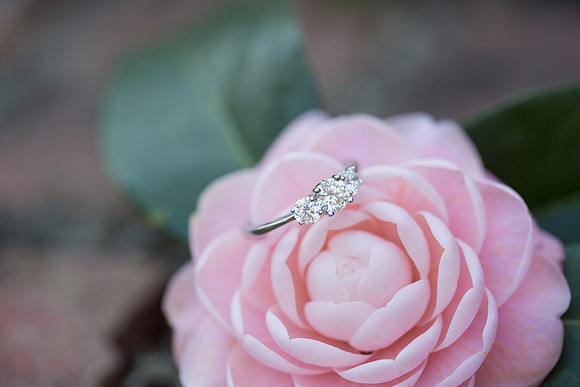 Jennifer B Photography-R&D Engagement Session-36