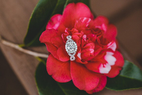Jennifer B Photography-The Proposal pictures 2016-24