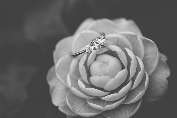 Jennifer B Photography-R&D Engagement Session-37