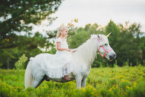 Jennifer B Photography-Unicorn shoot 2016-52