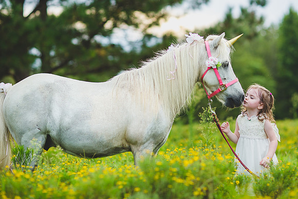 Jennifer B Photography-Unicorn shoot 2016-29