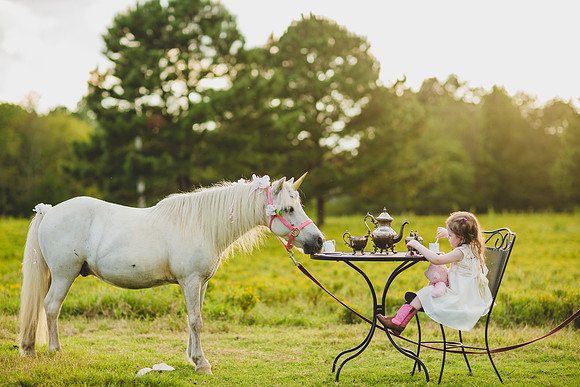 Jennifer B Photography-Unicorn shoot 2016-80