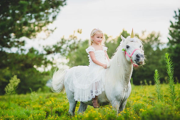 Jennifer B Photography-Unicorn shoot 2016-55