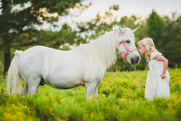 Jennifer B Photography-Unicorn shoot 2016-46