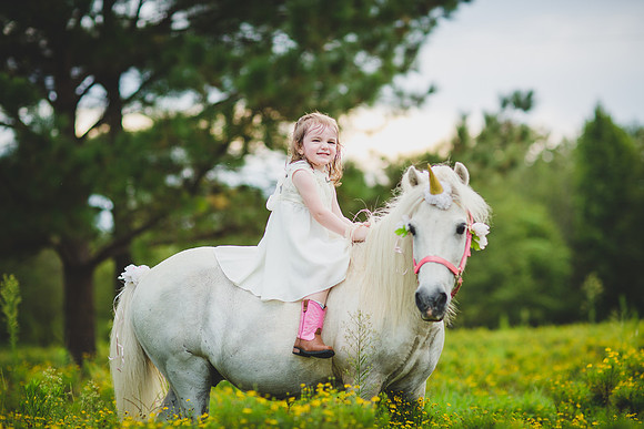 Jennifer B Photography-Unicorn shoot 2016-35