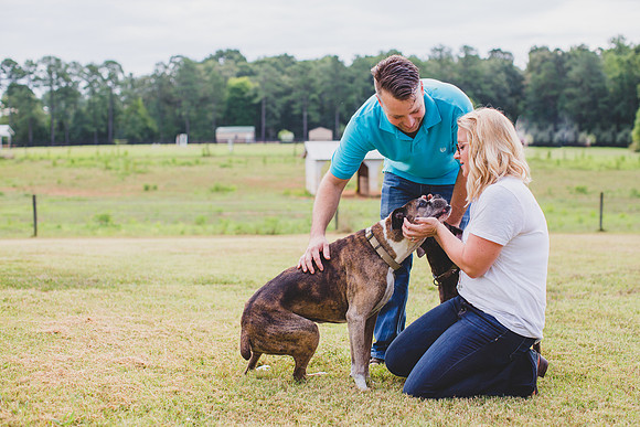 Jennifer B Photography-Thorton Family portrait 2016-83