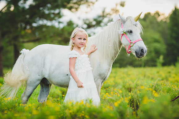 Jennifer B Photography-Unicorn shoot 2016-50