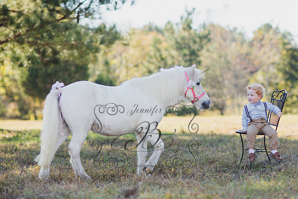 Jennifer B. Photography-Unicorn 3-1