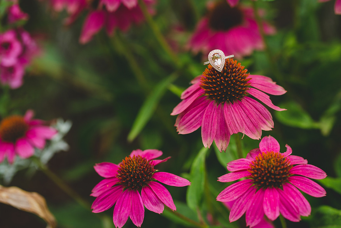 Jennifer B Photography-Weymouth Gardens M&A Proposal 2016-92