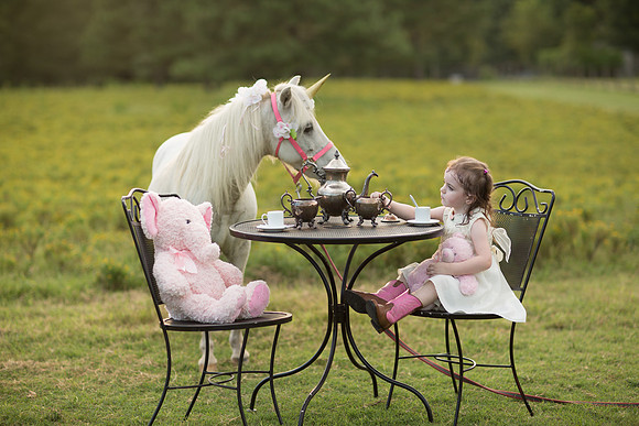 Jennifer B Photography-Unicorn shoot 2016-77