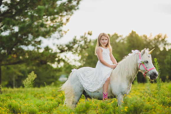 Jennifer B Photography-Unicorn shoot 2016-69