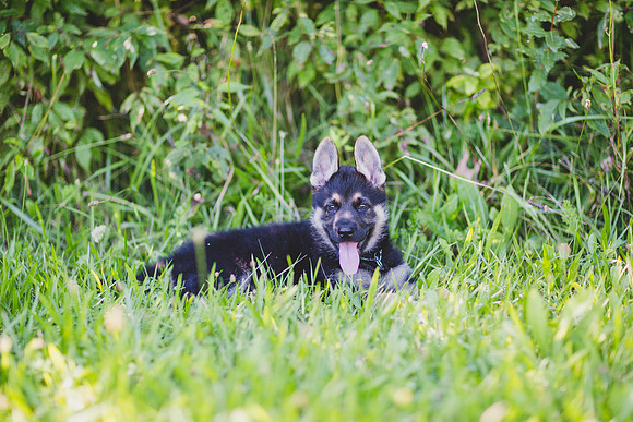 Jennifer B Photography-OHIO-4