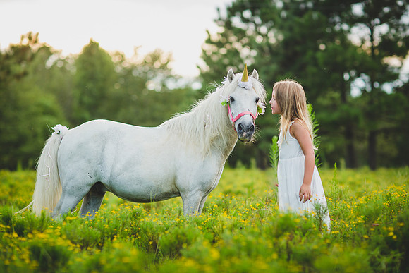 Jennifer B Photography-Unicorn shoot 2016-67